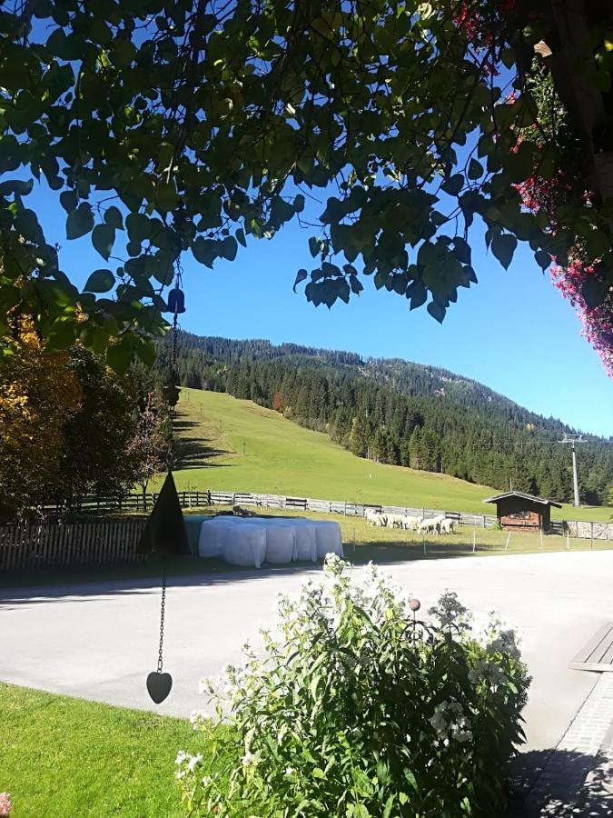Walchauhof Hotel Flachau Exterior foto