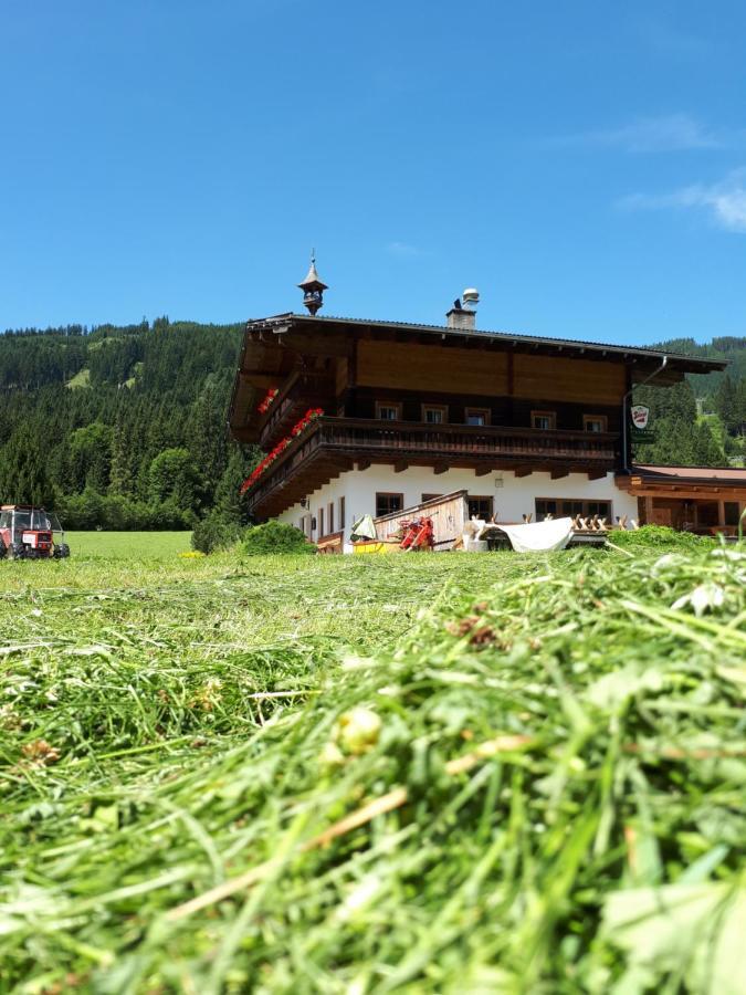 Walchauhof Hotel Flachau Exterior foto